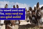 Donkey farming scheme 2026